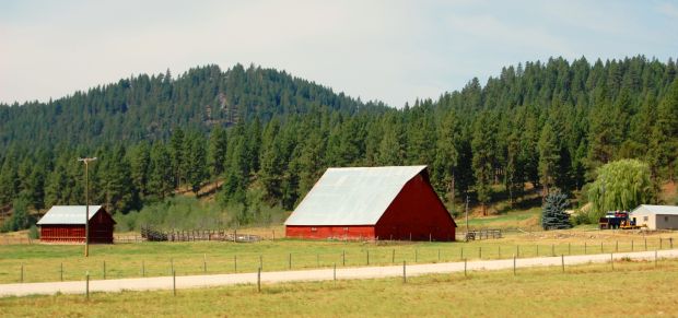 Barn